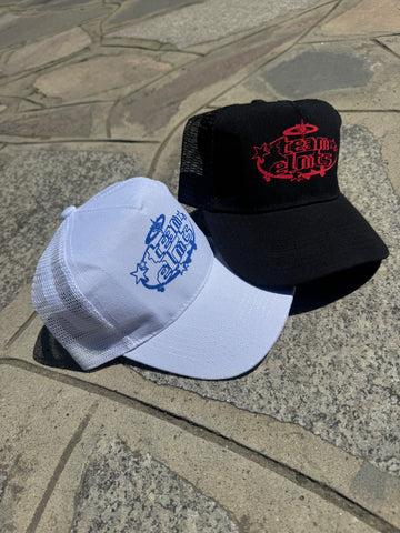 PRINT HAT ELMTS